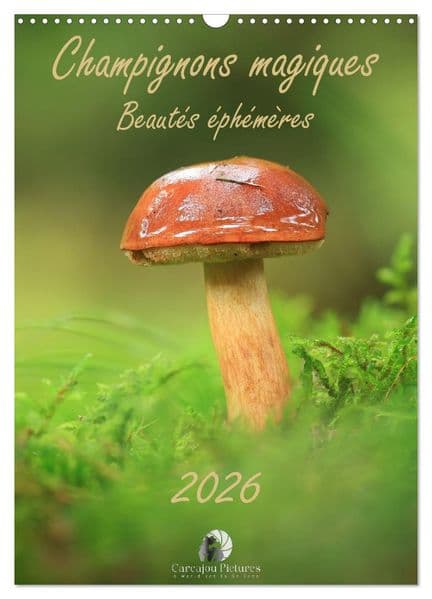 Champignons magiques - Beautés éphémères (Calendrier mural 2027 DIN A3 horizontal), CALVENDO calendrier mensuel