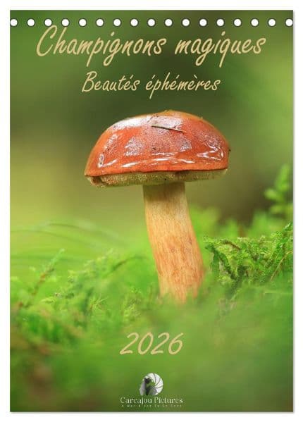 Champignons magiques - Beautés éphémères (Calendrier de bureau 2027 DIN A5 horizontal), CALVENDO calendrier mensuel