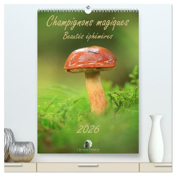 Champignons magiques - Beautés éphémères (Calendrier mural haut de gamme 2027 DIN A2 horizontal), CALVENDO calendrier mensuel