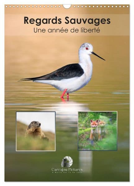 Regards sauvages - Une année de liberté (Calendrier mural 2027 DIN A3 horizontal), CALVENDO calendrier mensuel