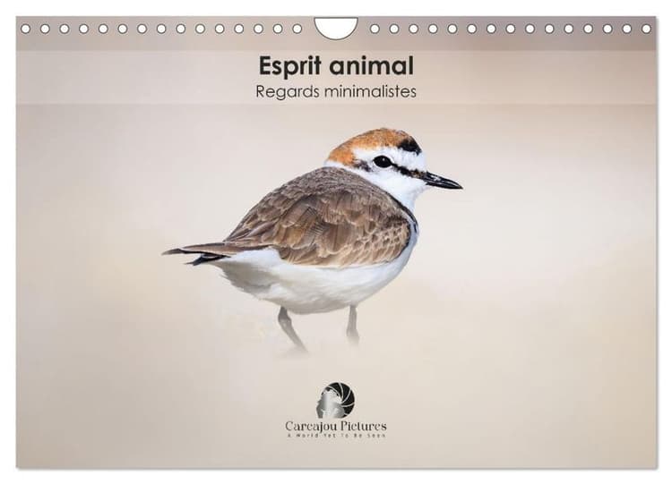 Esprit animal - Regards minimalistes (Calendrier mural 2027 DIN A4 vertical), CALVENDO calendrier mensuel