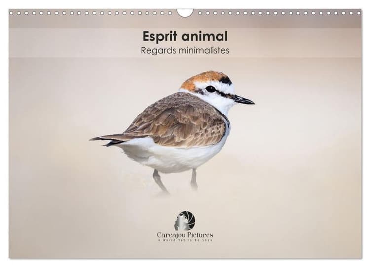 Esprit animal - Regards minimalistes (Calendrier mural 2027 DIN A3 vertical), CALVENDO calendrier mensuel