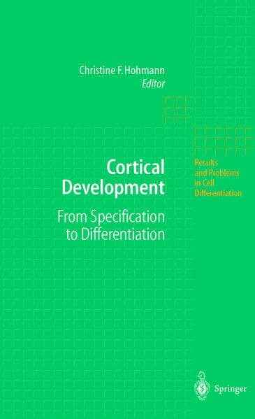 Cortical Development