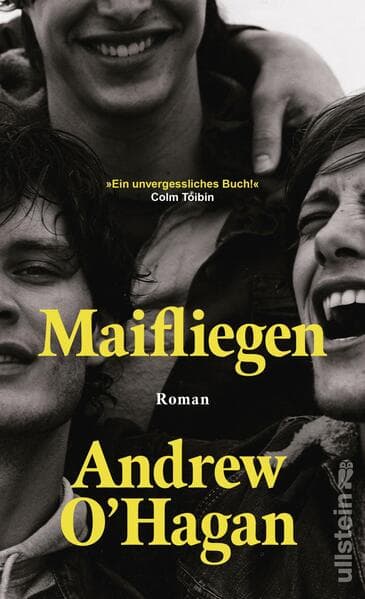 Maifliegen