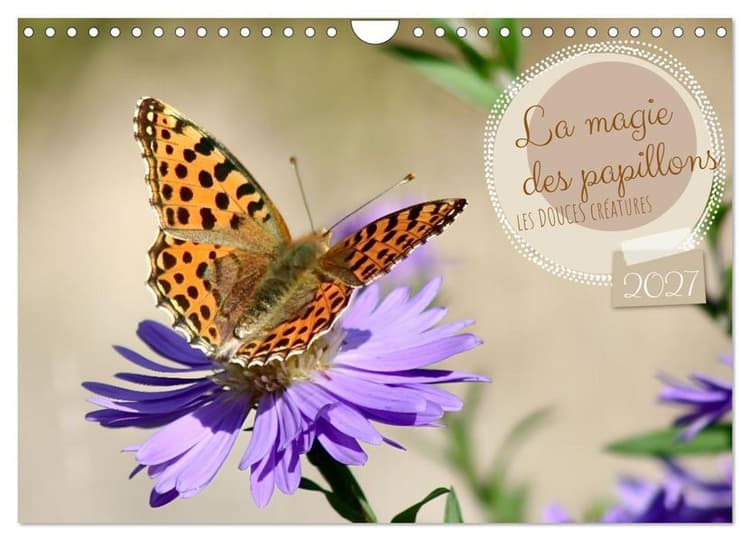 LA MAGIE DES PAPILLONS (Calendrier mural 2027 DIN A4 vertical), CALVENDO calendrier mensuel