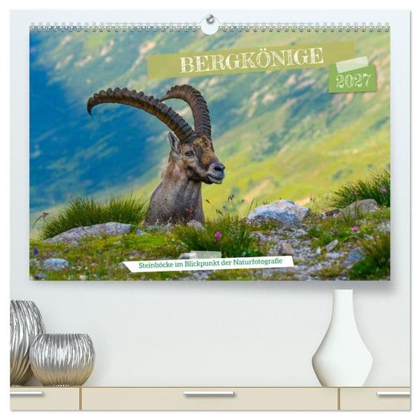 Bergkönige - Steinböcke im Blickpunkt der Naturforografie (hochwertiger Premium Wandkalender 2027 DIN A2 quer), Kunstdruck in Hochglanz