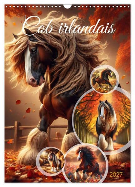 Cob irlandais (Calendrier mural 2027 DIN A3 horizontal), CALVENDO calendrier mensuel