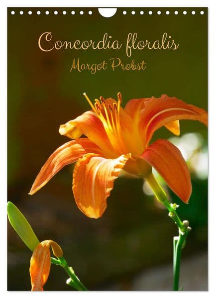 Concordia floralis (Calendrier mural 2027 DIN A4 horizontal), CALVENDO calendrier mensuel