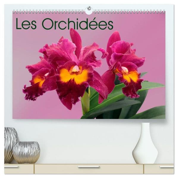 Les Orchidées (Calendrier mural haut de gamme 2027 DIN A2 vertical), CALVENDO calendrier mensuel