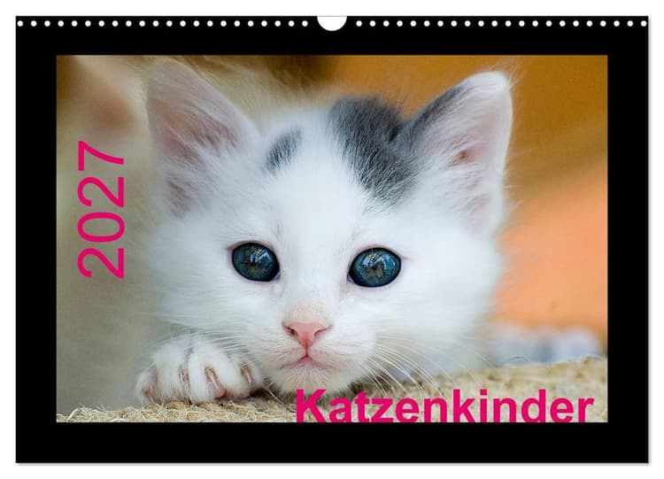 Katzenkinder (Wandkalender 2027 DIN A3 quer), CALVENDO Monatskalender