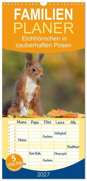 Familienplaner 2027 - Eichhörnchen in zauberhaften Posen mit 5 Spalten (Wandkalender, 21 x 45 cm) CALVENDO