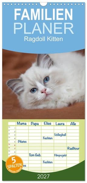 Familienplaner 2027 - Ragdoll Kitten mit 5 Spalten (Wandkalender, 21 x 45 cm) CALVENDO
