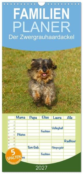Familienplaner 2027 - Der Zwergrauhaardackel - Eigensinnig und Liebenswert mit 5 Spalten (Wandkalender, 21 x 45 cm) CALVENDO