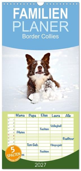 Familienplaner 2027 - Border Collies mit 5 Spalten (Wandkalender, 21 x 45 cm) CALVENDO