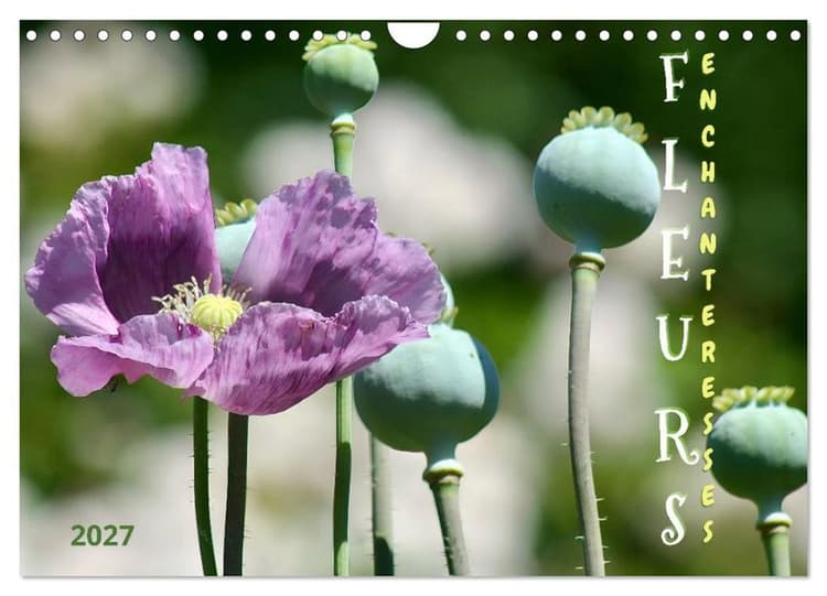 DES FLEURS ENCHANTERESSES (Calendrier mural 2027 DIN A4 vertical), CALVENDO calendrier mensuel
