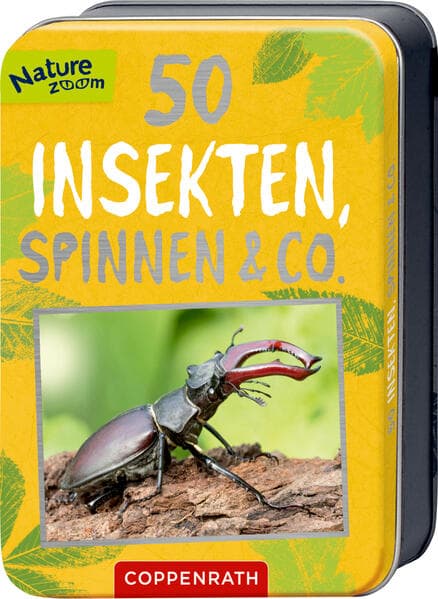 50 Insekten, Spinnen & Co