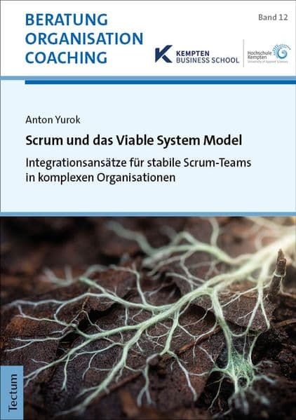 Scrum und das Viable System Model