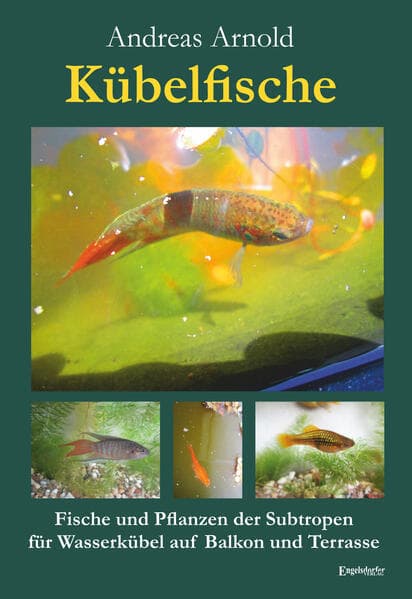 Kübelfische