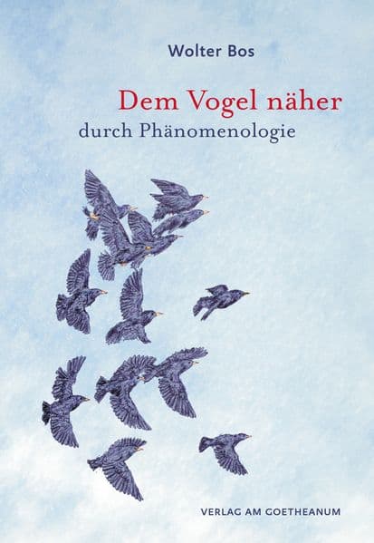 Dem Vogel näher – durch Phänomenologie