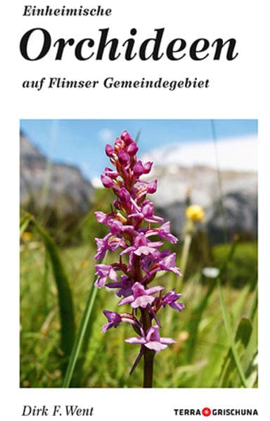 Einheimische Orchideen auf Flimser Gemeindegebiet