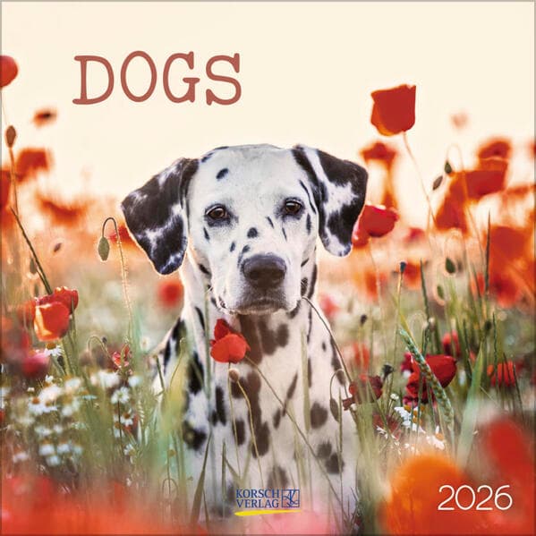 Dogs 2026