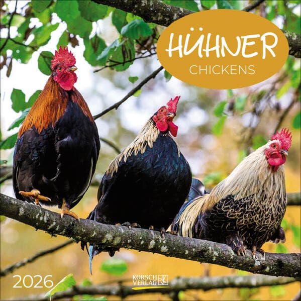 Hühner 2026