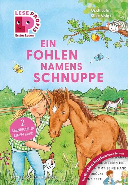 Leseprofis – GROSSBUCHSTABEN: EIN FOHLEN NAMENS SCHNUPPE, 1. Klasse