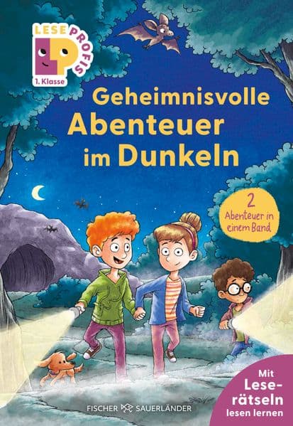 Leseprofis – Geheimnisvolle Abenteuer im Dunkeln, 1. Klasse (Doppelband)