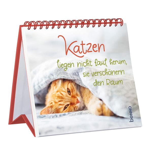Katzen liegen nicht nur faul herum, sie verschönern den Raum