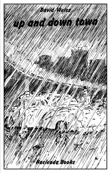 David Weiss - up and down town / Regenbüchlein