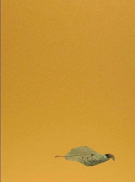 Yoshihiro Suda. Garden Eden