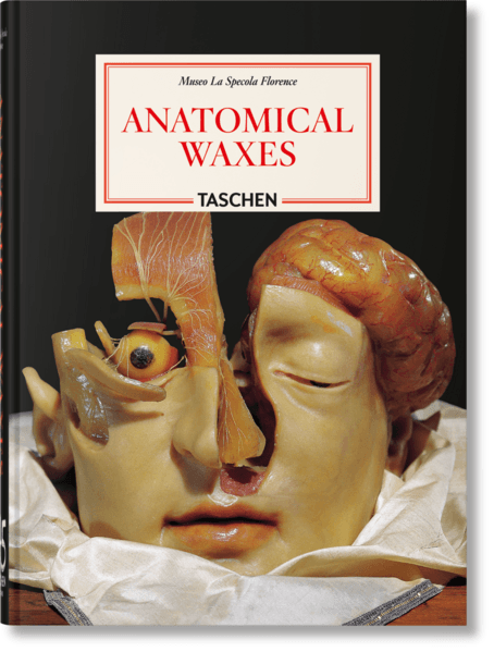 Anatomical Waxes. 45th Ed