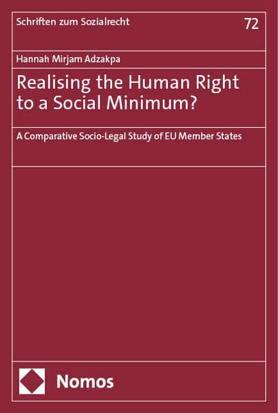 Realising the Human Right to a Social Minimum?