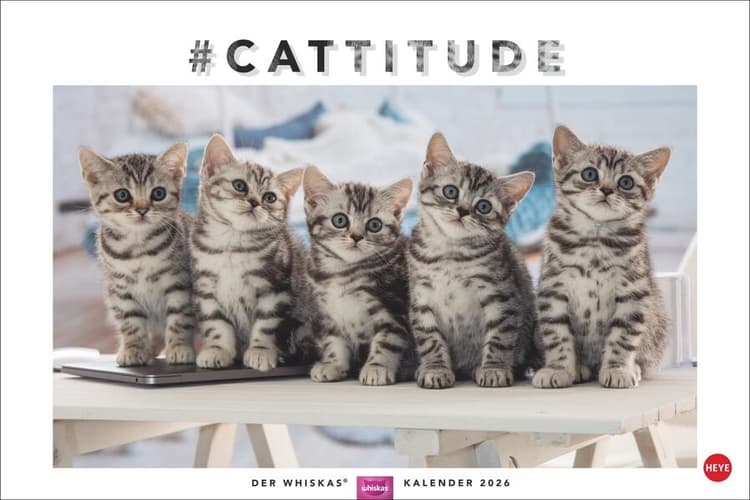 Whiskas Katzenkalender 2026