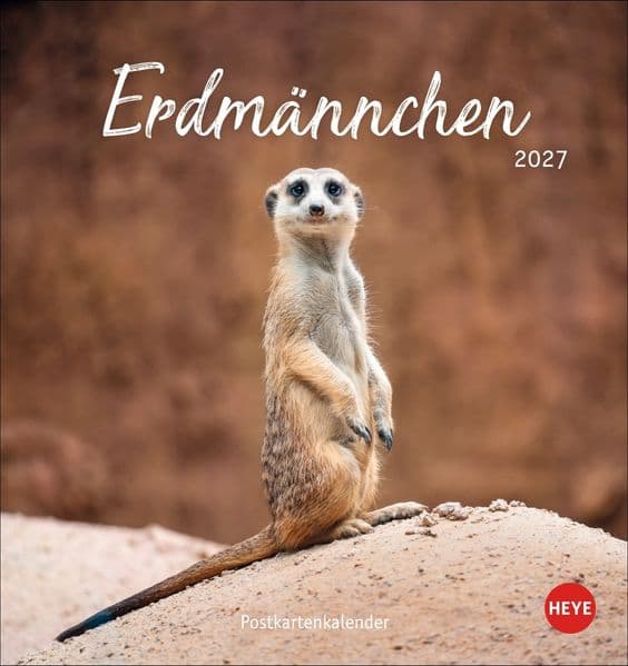 Erdmännchen Postkartenkalender 2027