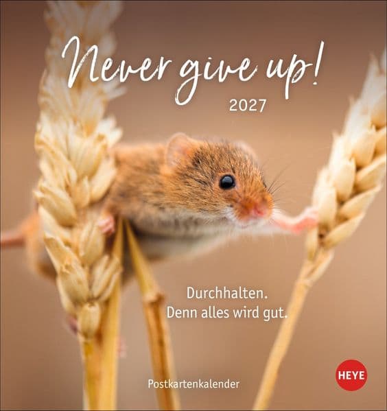 Never give up! Postkartenkalender 2027 - Durchhalten. Denn alles wird gut