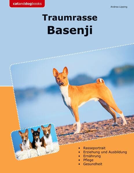 Traumrasse Basenji