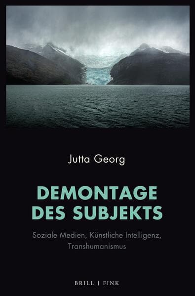 Demontage des Subjekts
