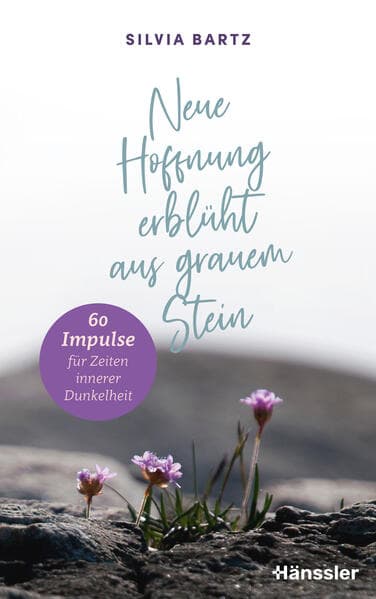 Neue Hoffnung erblüht aus grauem Stein