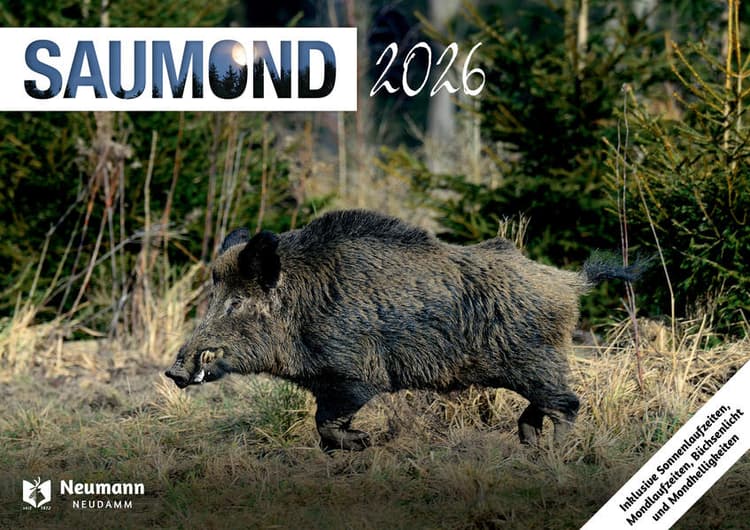 Saumond 2026