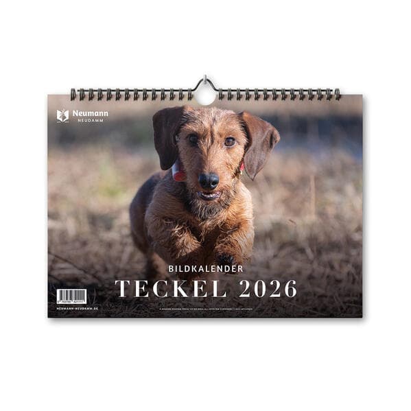 Teckel 2026