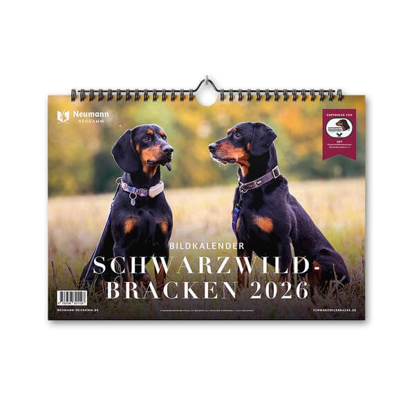 Schwarzwildbracken 2026