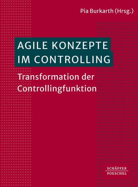 Agile Konzepte im Controlling