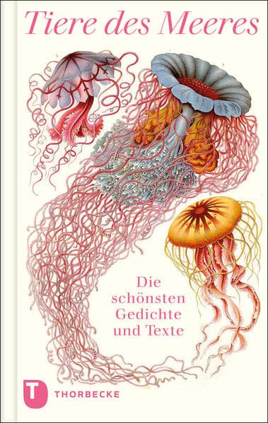 Tiere des Meeres