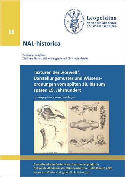 Texturen der 'Vorwelt'