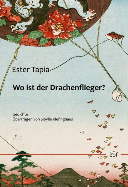 Wo ist der Drachenflieger?