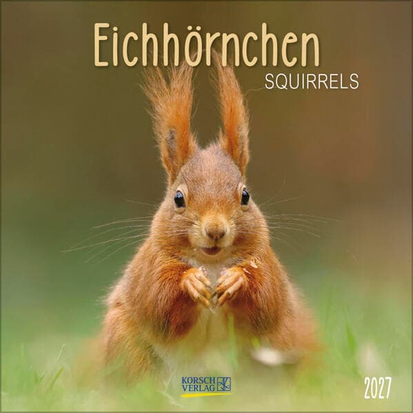 Eichhörnchen 2027