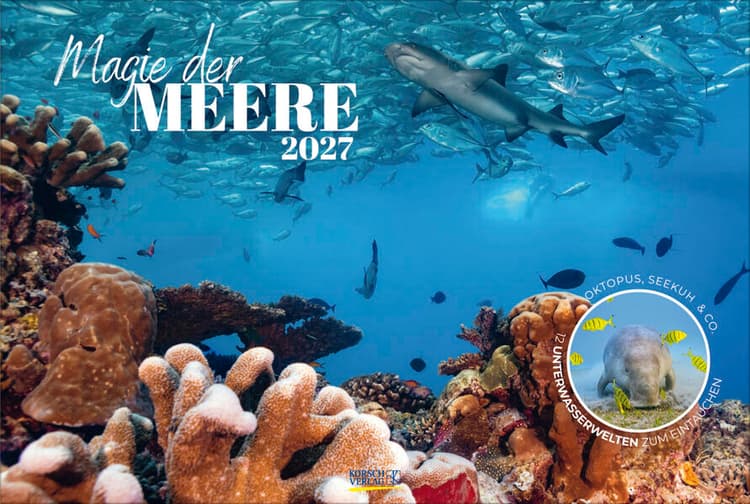 Magie der Meere 2027