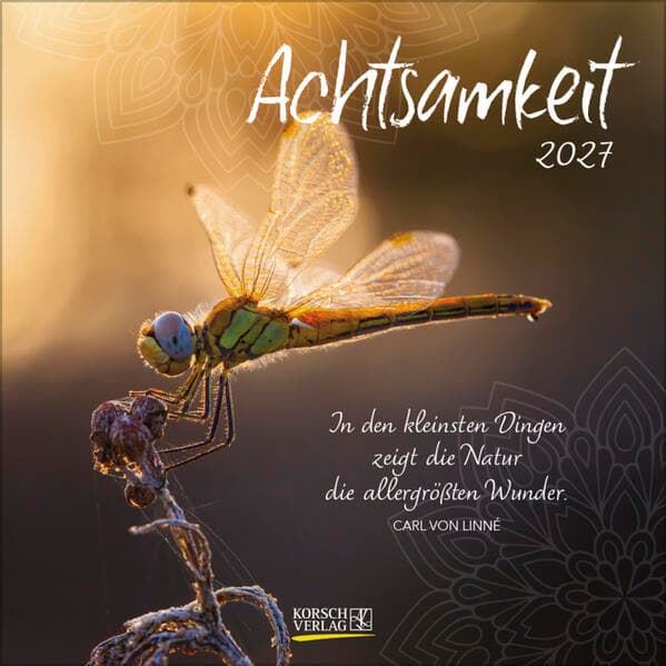 Achtsamkeit 2027