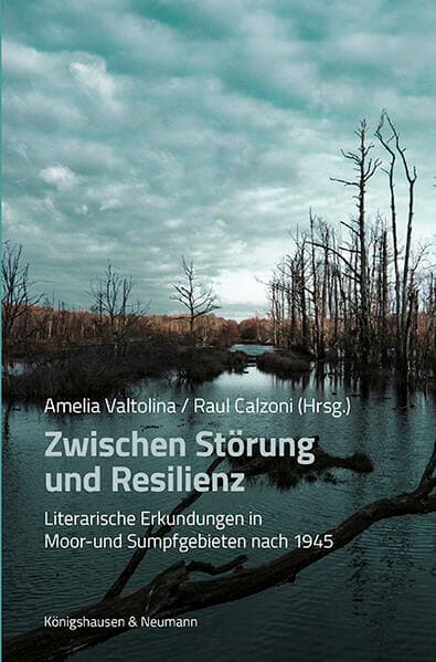 Zwischen Störung und Resilienz